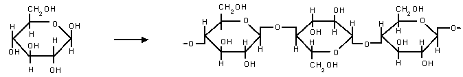 Estructura de la celulosa a partir de la glucosa