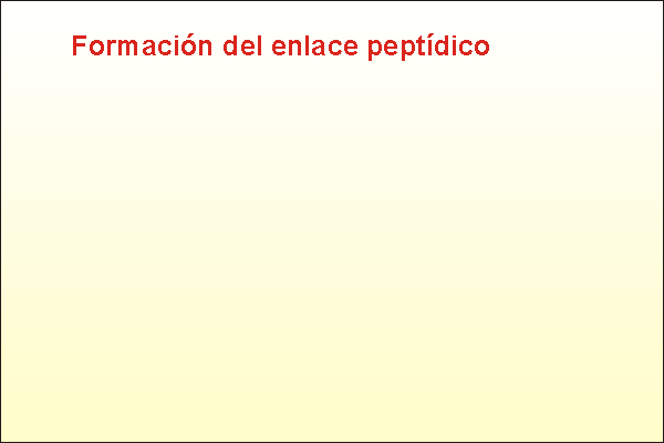 Unión de dos monómeros (aminoácidos) para formar un dipéptido. Uniones sucesivas darían un polímero que podría ser una proteína (más de 50 aminoácidos)