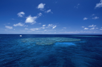 Alta mar