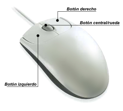 ratón