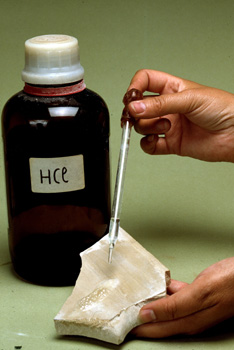 HCl + CaCO3