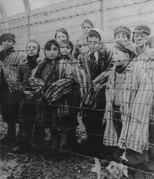 holocausto presos en campo de concentracion
