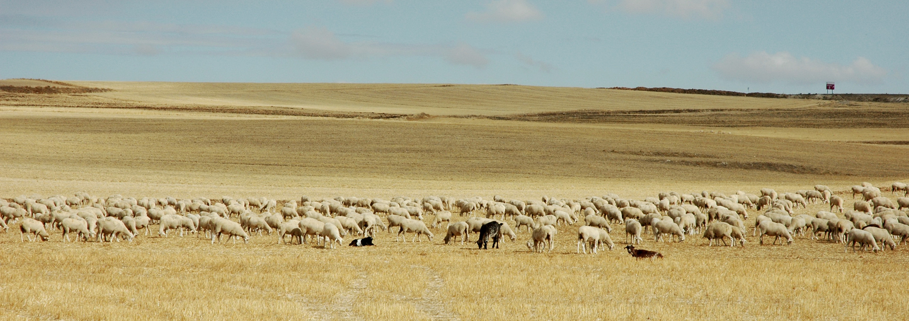 Paisaje de la meseta castellana