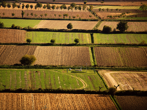 Paisaje rural