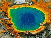 Arqueobacterias en el Parque Yellowstone (Fuente: NASA) Arqueobacterias en el Parque Yellowstone (Fuente: NASA)