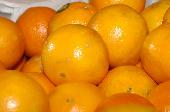 Fruta