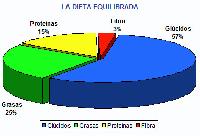 La dieta equilibrada
