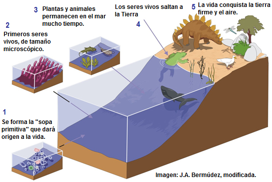El origen de la vida