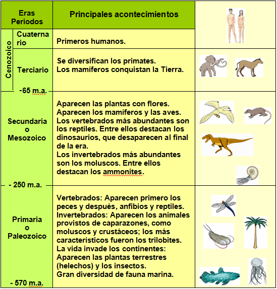 La vida en la Tierra