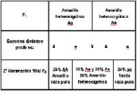 Segunda ley de M.