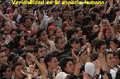 Diversidad humana