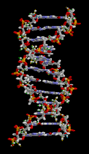 ADN, la h�lice de la vida