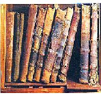 biblioteca