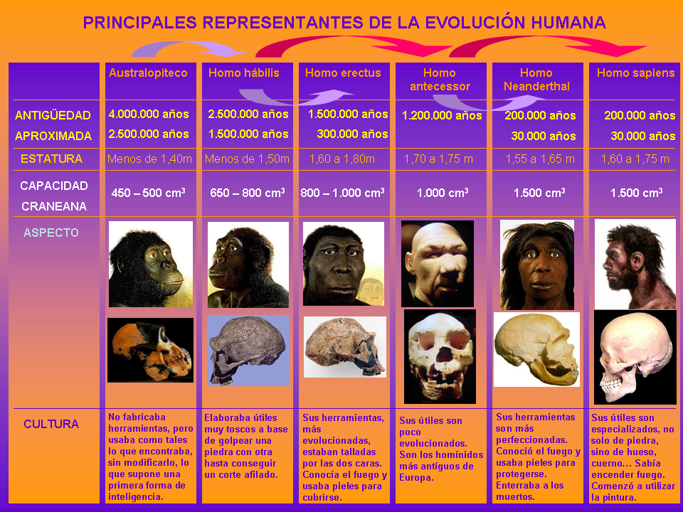 Hominizaci�n