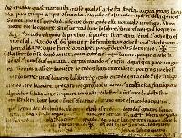 manuscrito