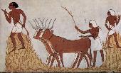Agricultura