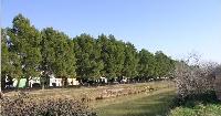 Canal Imperial de Arag�n