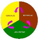 Rotaci�n de cultivos