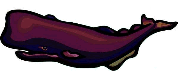 ballena