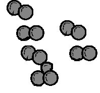Diplococos
