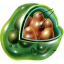 Muestra Imagen Vacuola