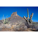Muestra Imagen Desierto