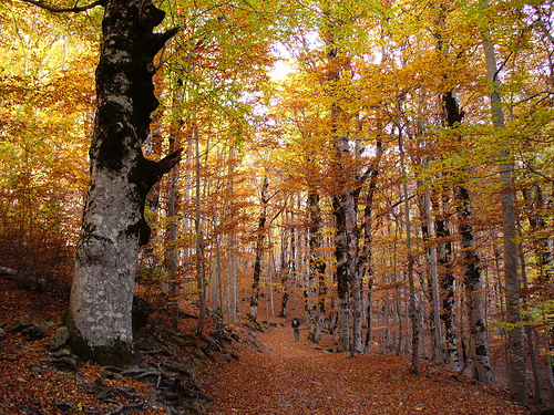 Valle de Ordesa