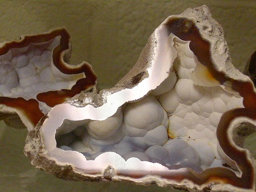 geoda